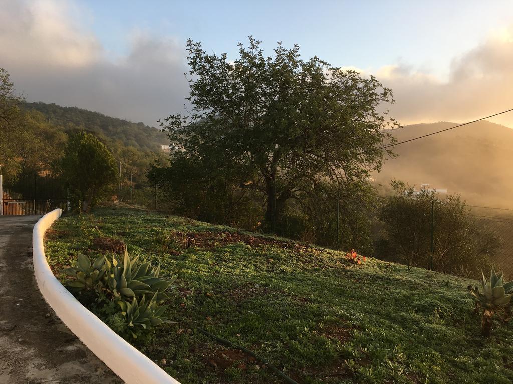 Kinta Alekrim * Cerro da Corte